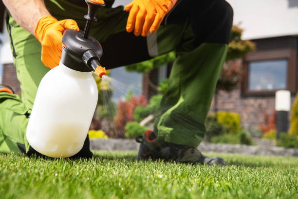 Flea Control Services in Langley Park, MD