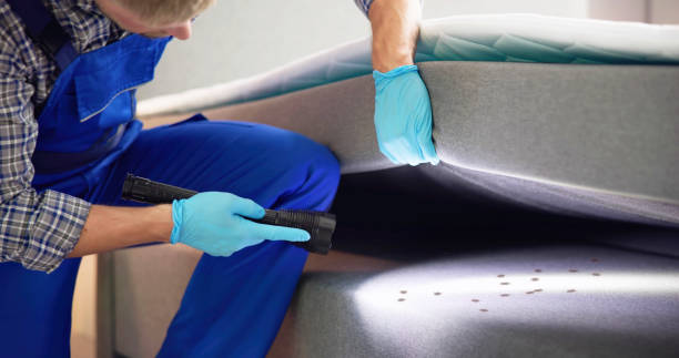 Best Pest Removal Services  in Langley Park, MD