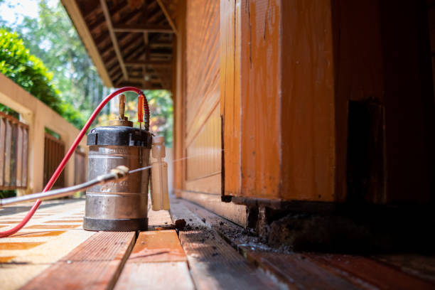 Best Termite Control Services  in Langley Park, MD
