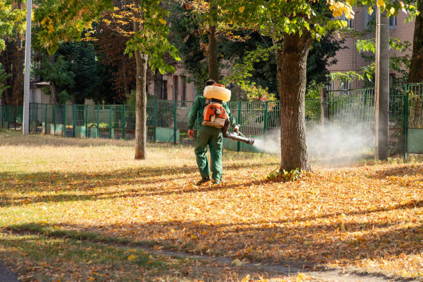 Best Mosquito Control Services  in Langley Park, MD