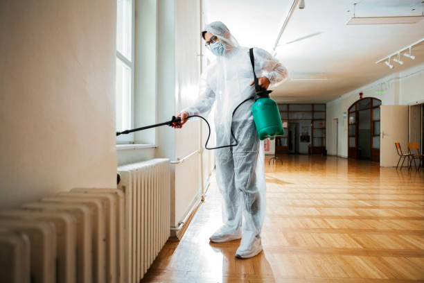 Best Bed Bug Extermination  in Langley Park, MD